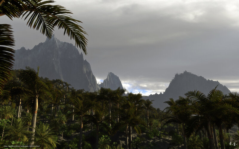 Tropical jungle with mountains