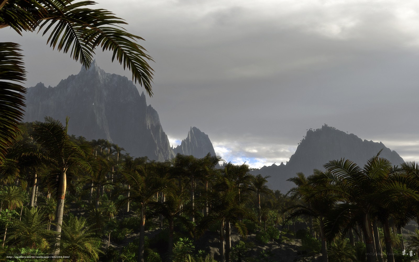 Tropical jungle with mountains