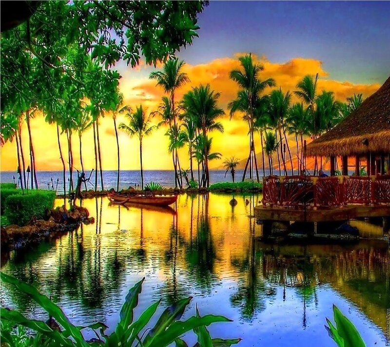 Tropical Lagoon at Sunset — Yellow
