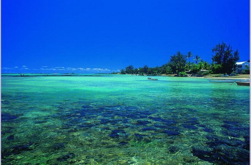 Tropical Lagoon with Coral — Blue