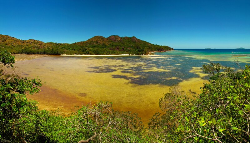 Tropical Lagoon with Coral