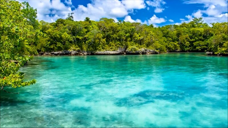 Tropical Lagoon with Forest