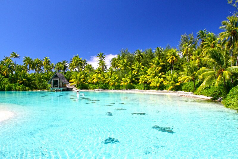 Tropical Lagoon with Hut — Blue