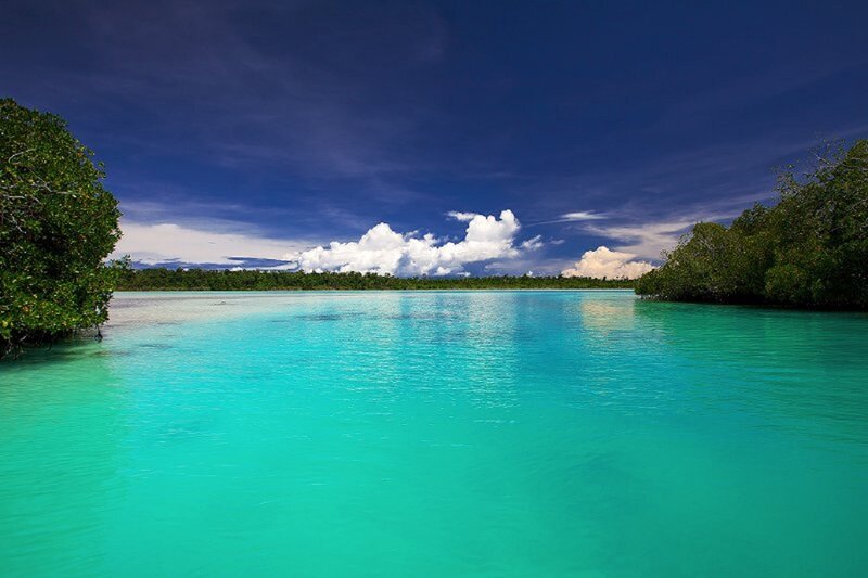 Tropical Lagoon with Mangroves