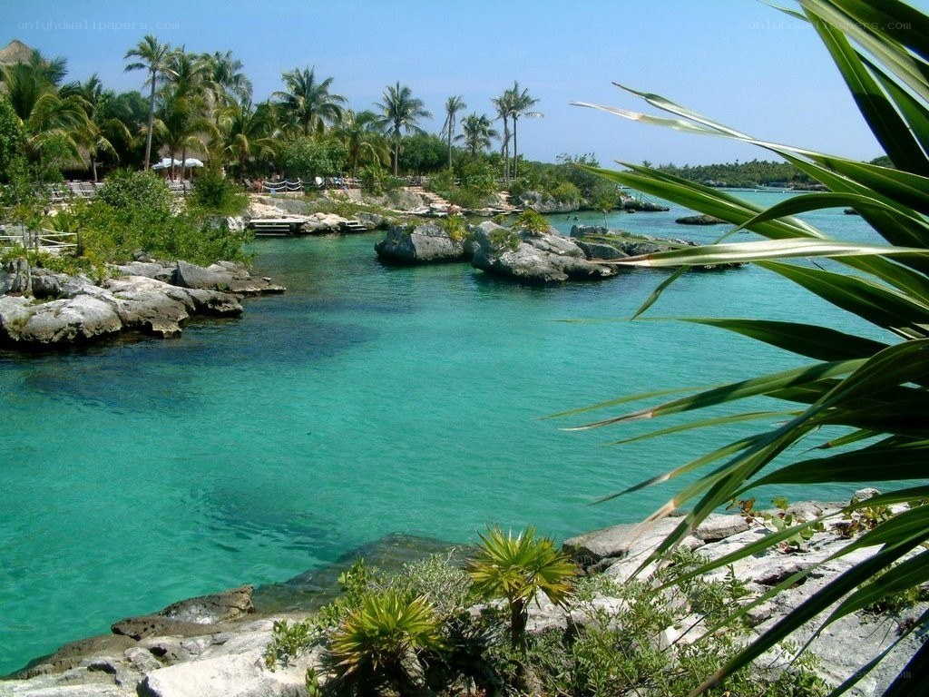 tropical lagoon with palm trees