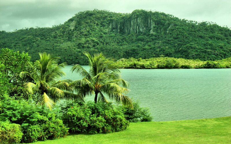 Tropical Lake with Palm Trees