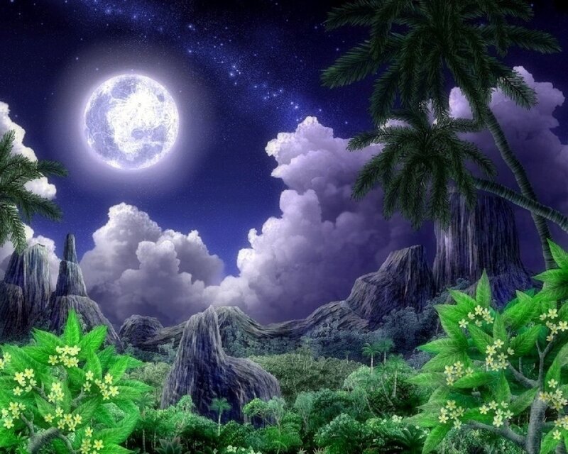 Tropical Landscape at Night