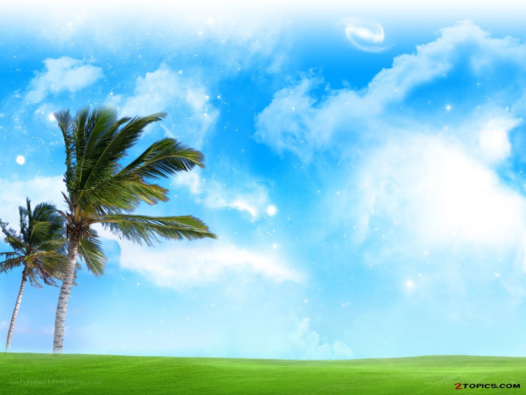 tropical landscape with palm trees