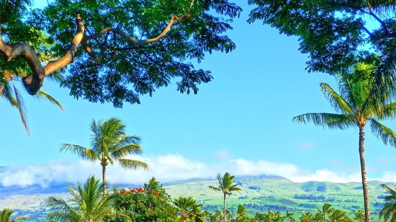 Tropical Landscape with Palm Trees — Green