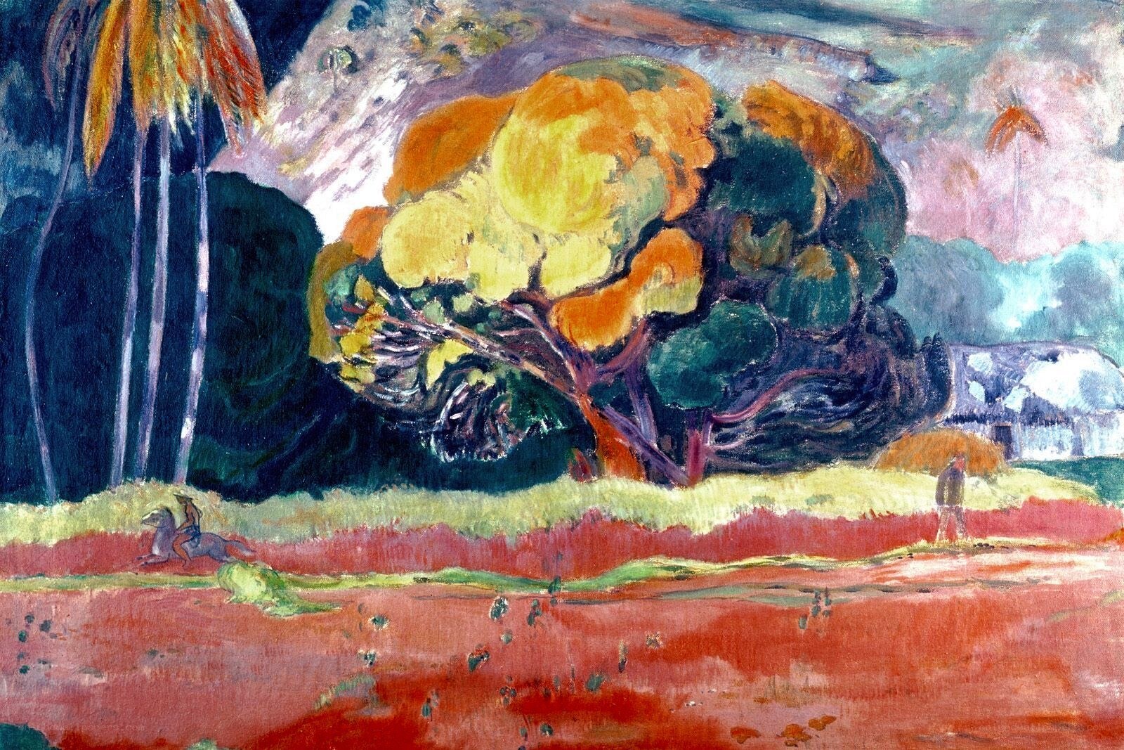 Tropical landscape with palm trees