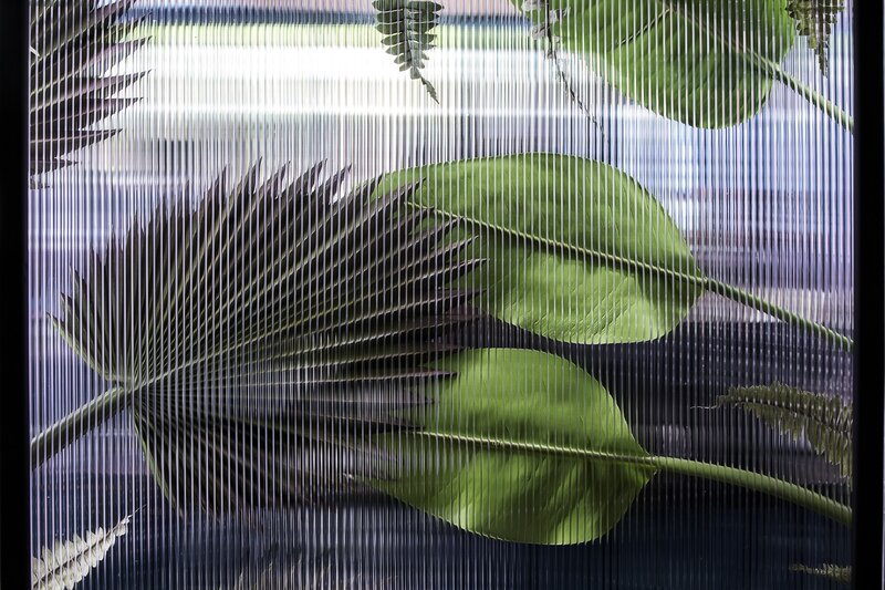 Tropical Leaves Behind Screen