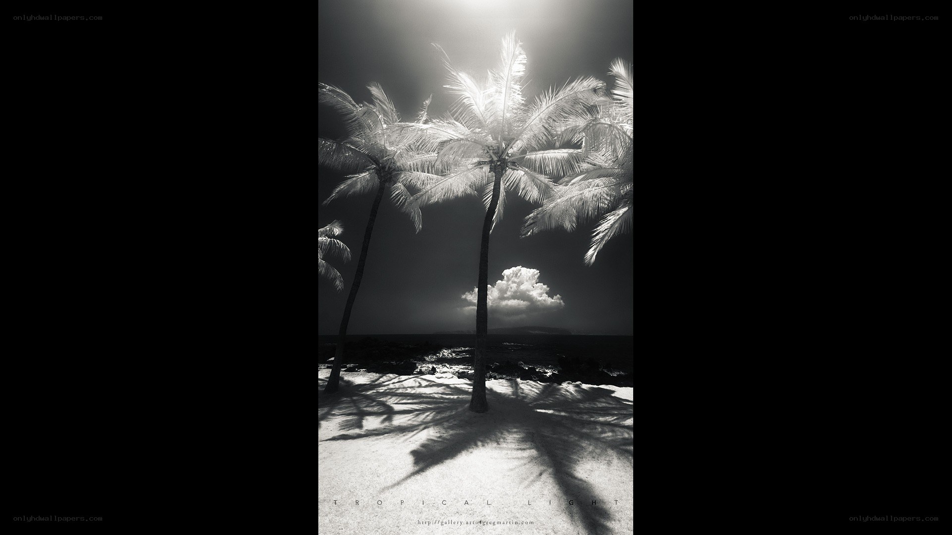 Tropical Light