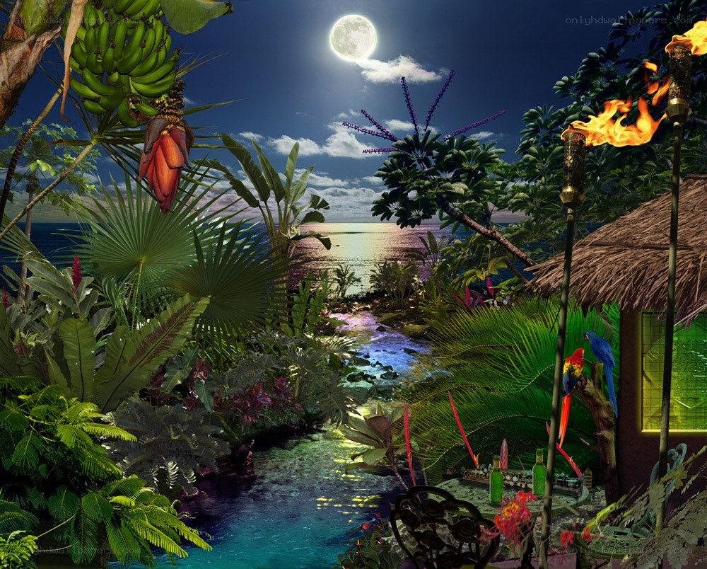 Tropical night garden scene