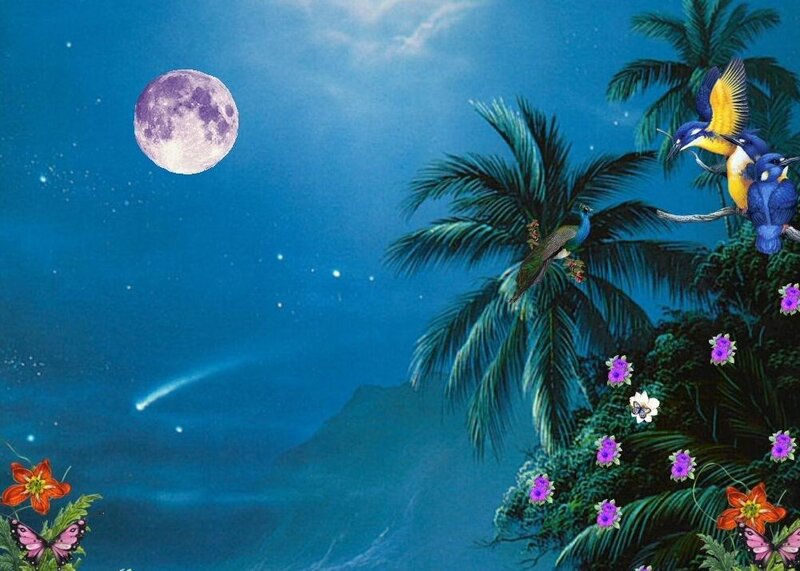Tropical Night Scene — Blue
