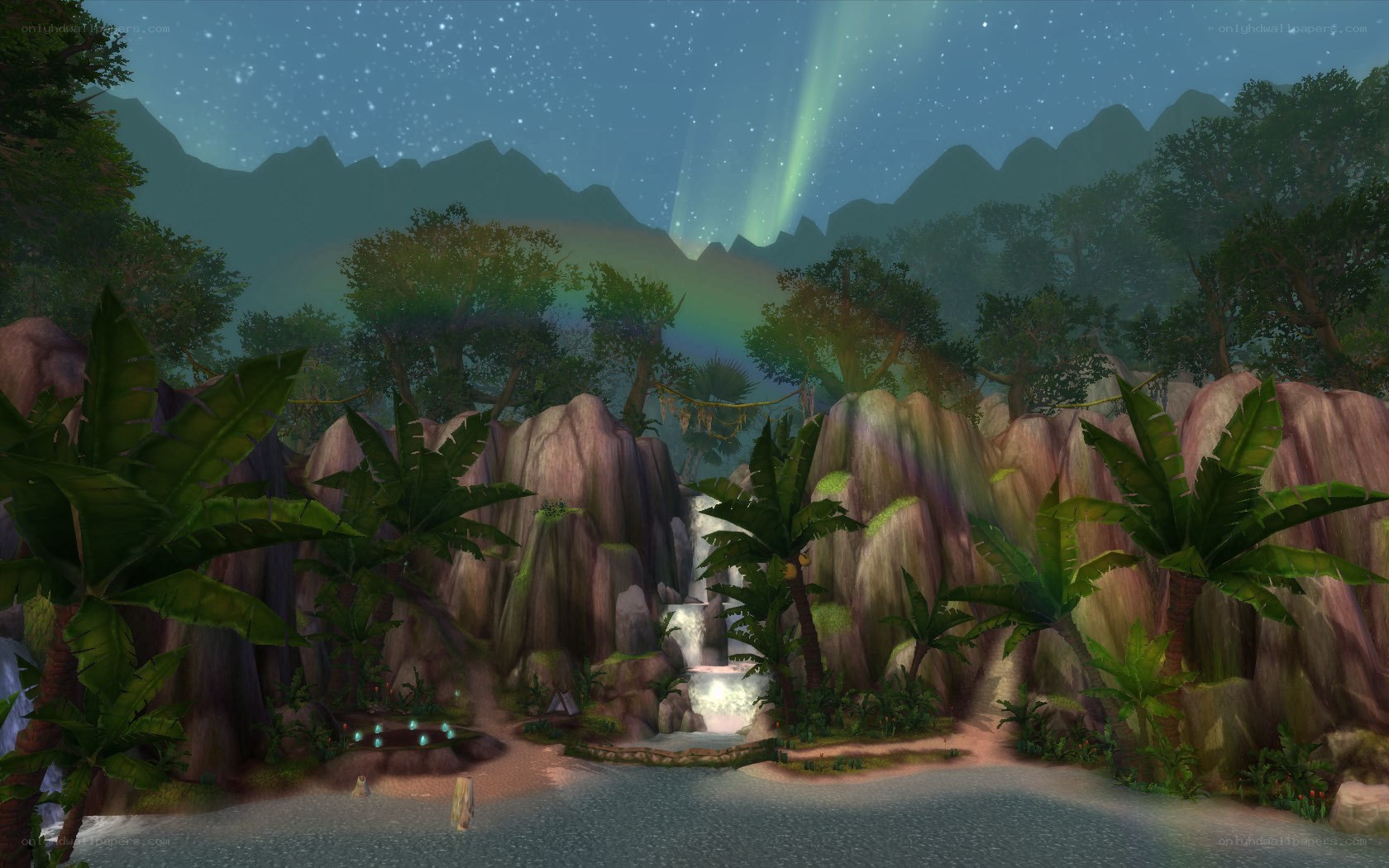 tropical night with aurora