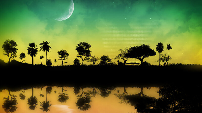 Tropical night with moon and reflection