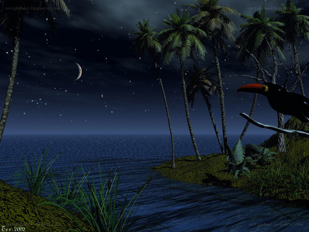 Tropical night with toucan