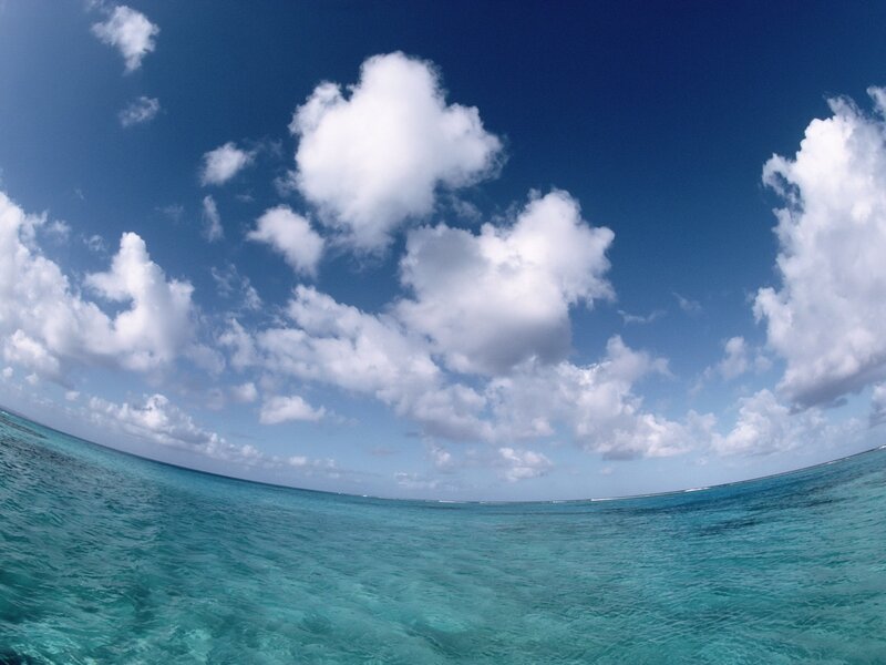 Tropical Ocean and Sky