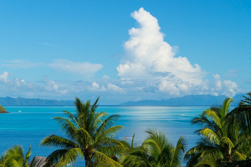 Tropical Ocean View — Blue