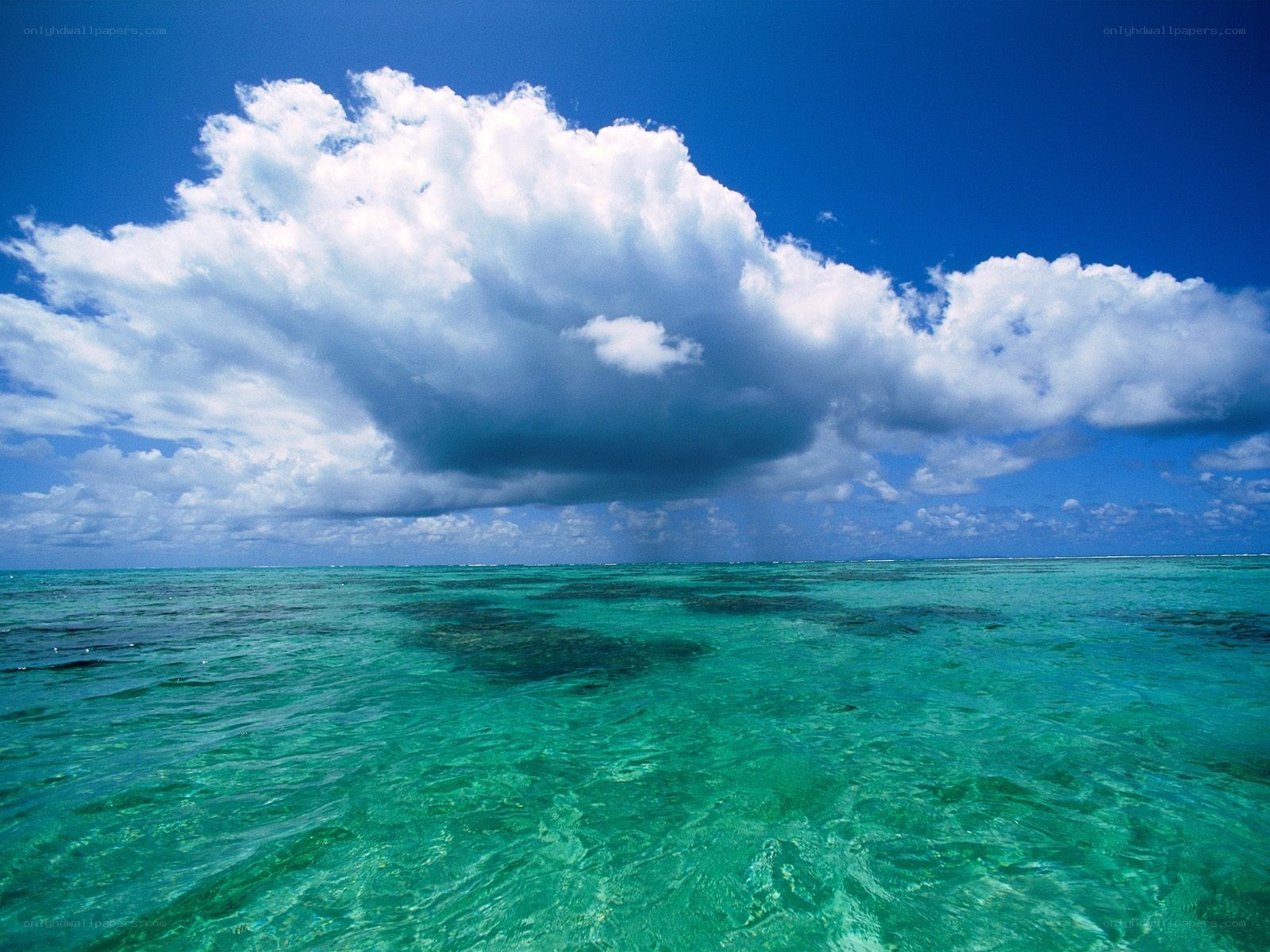 tropical ocean with cloud