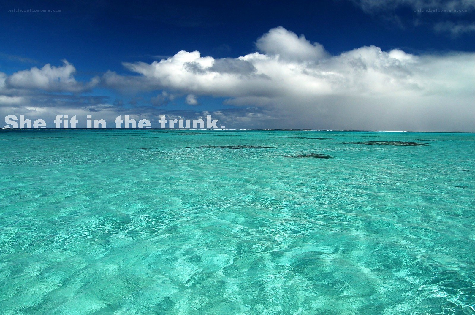 tropical ocean with clouds