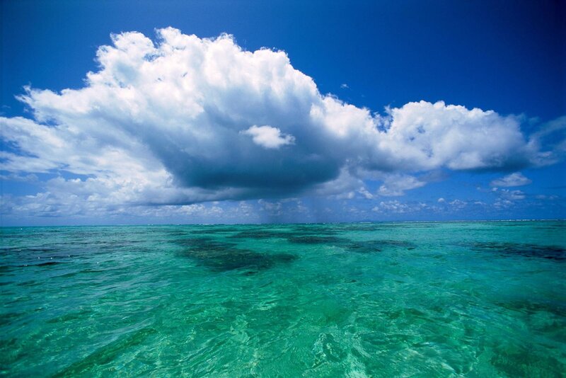 tropical ocean with cumulus cloud