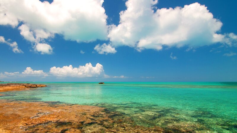 Tropical Ocean with Rocks — Blue