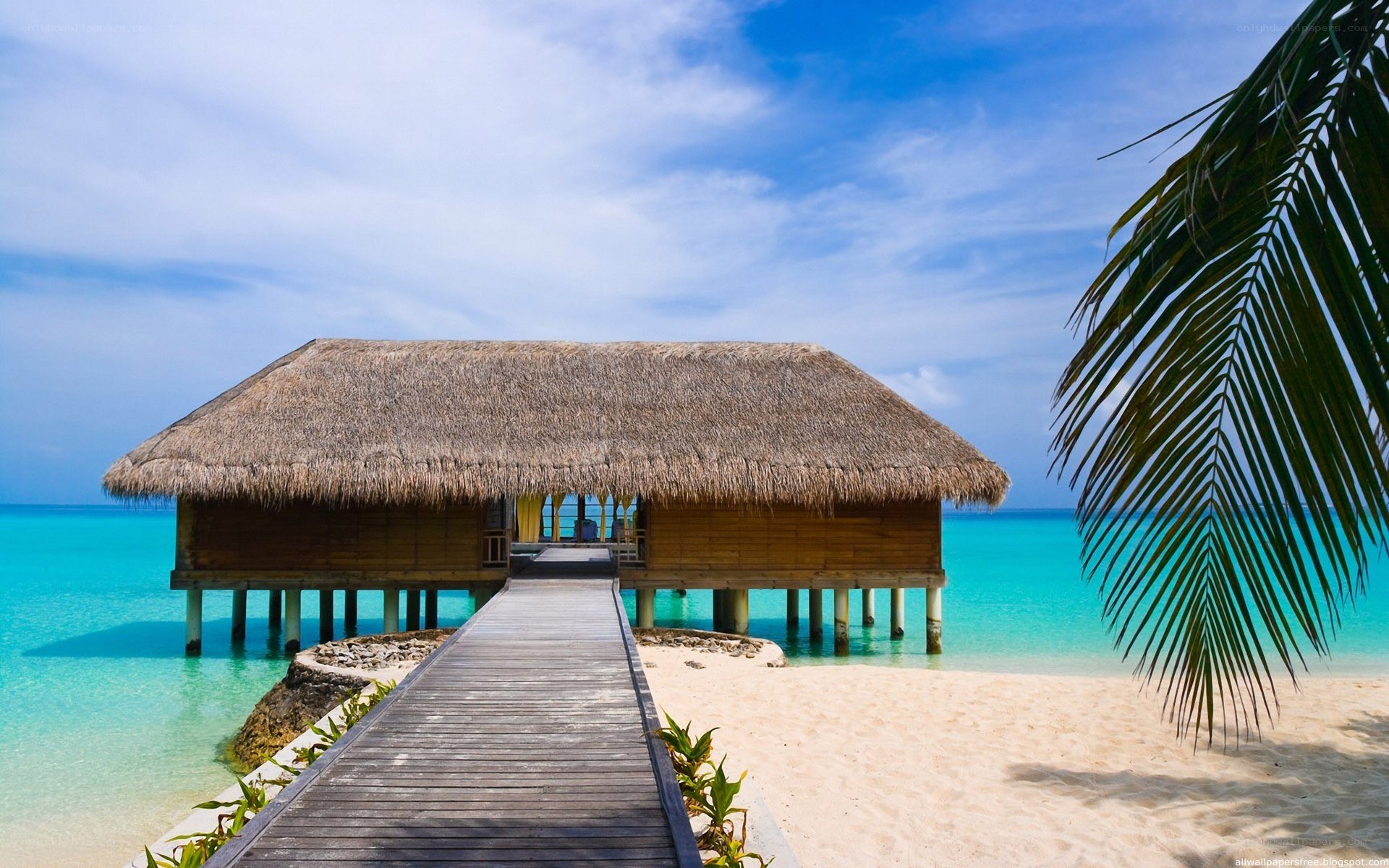 tropical overwater bungalow