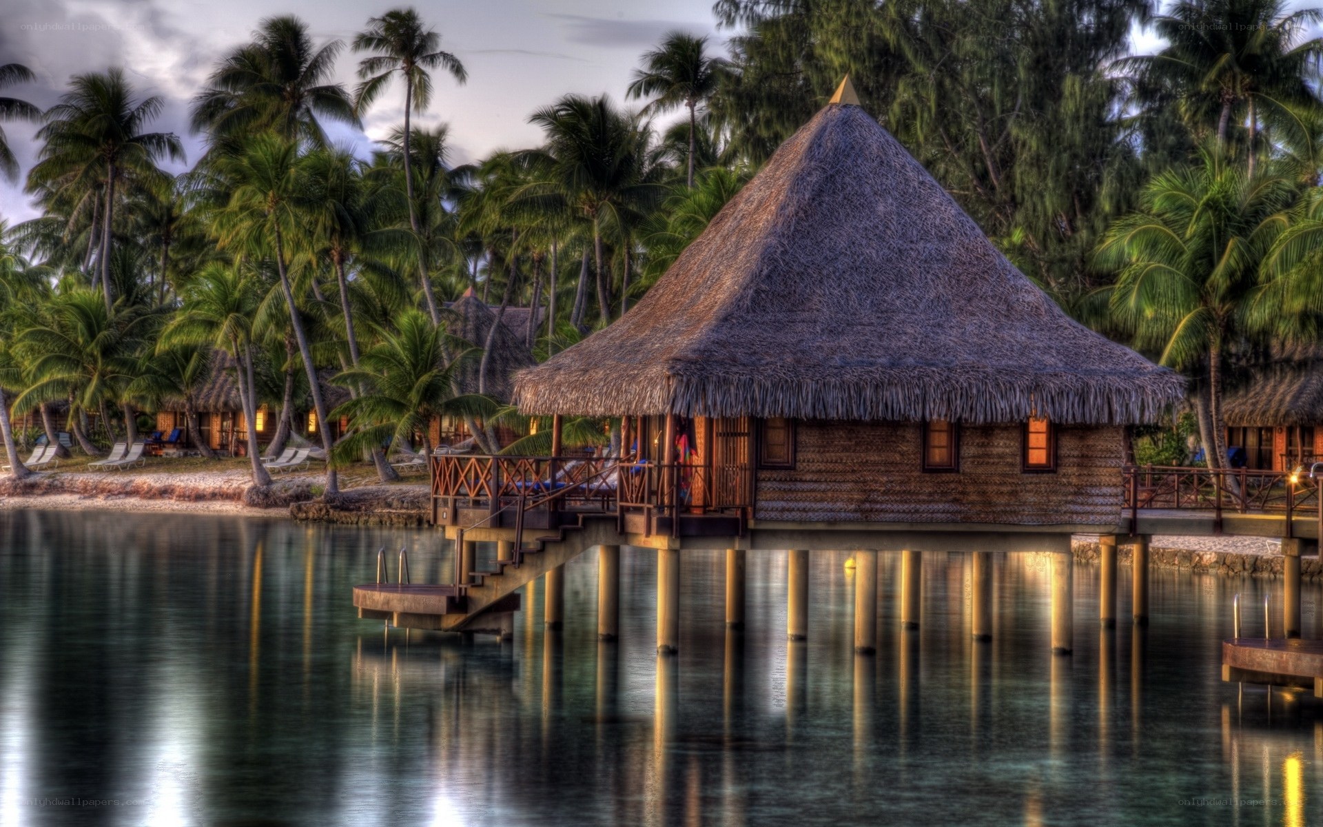 Tropical overwater bungalow
