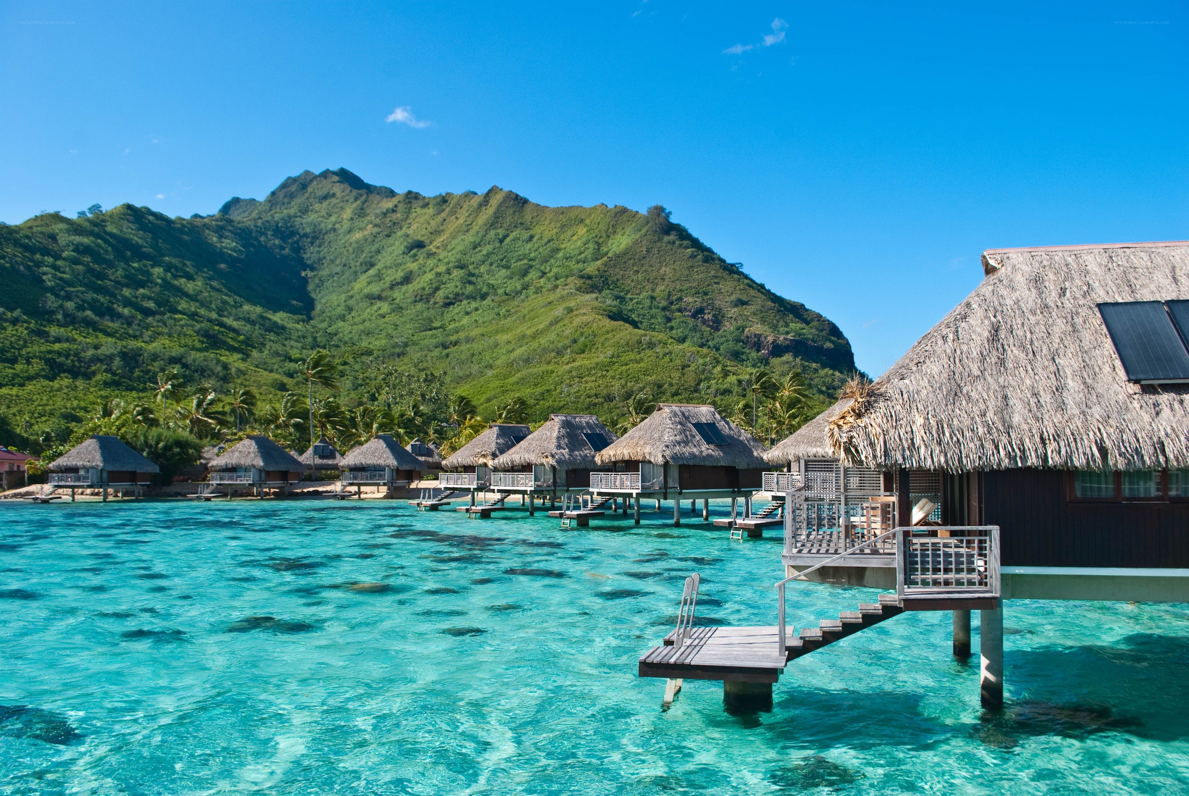 Tropical overwater bungalows