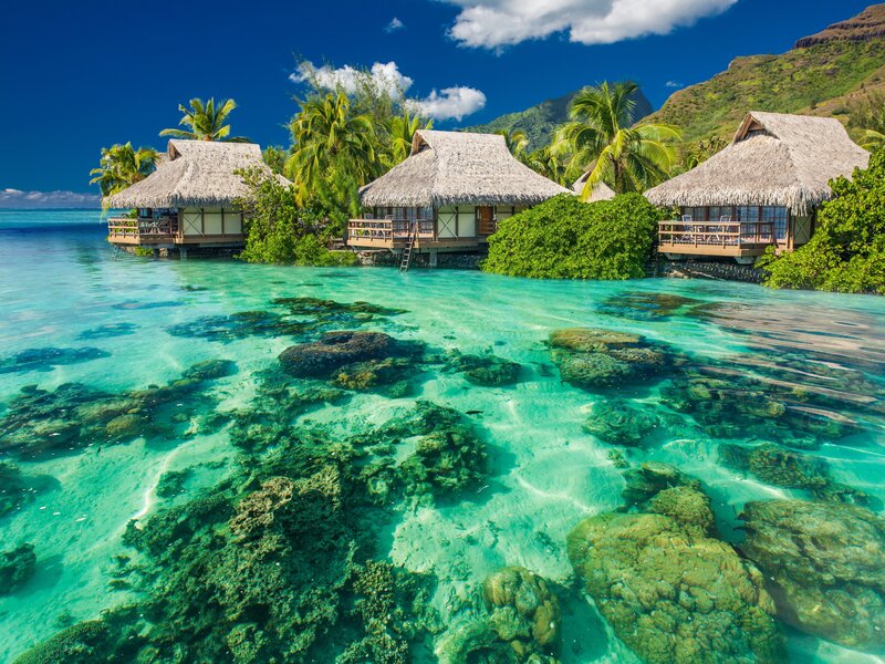 Tropical overwater bungalows