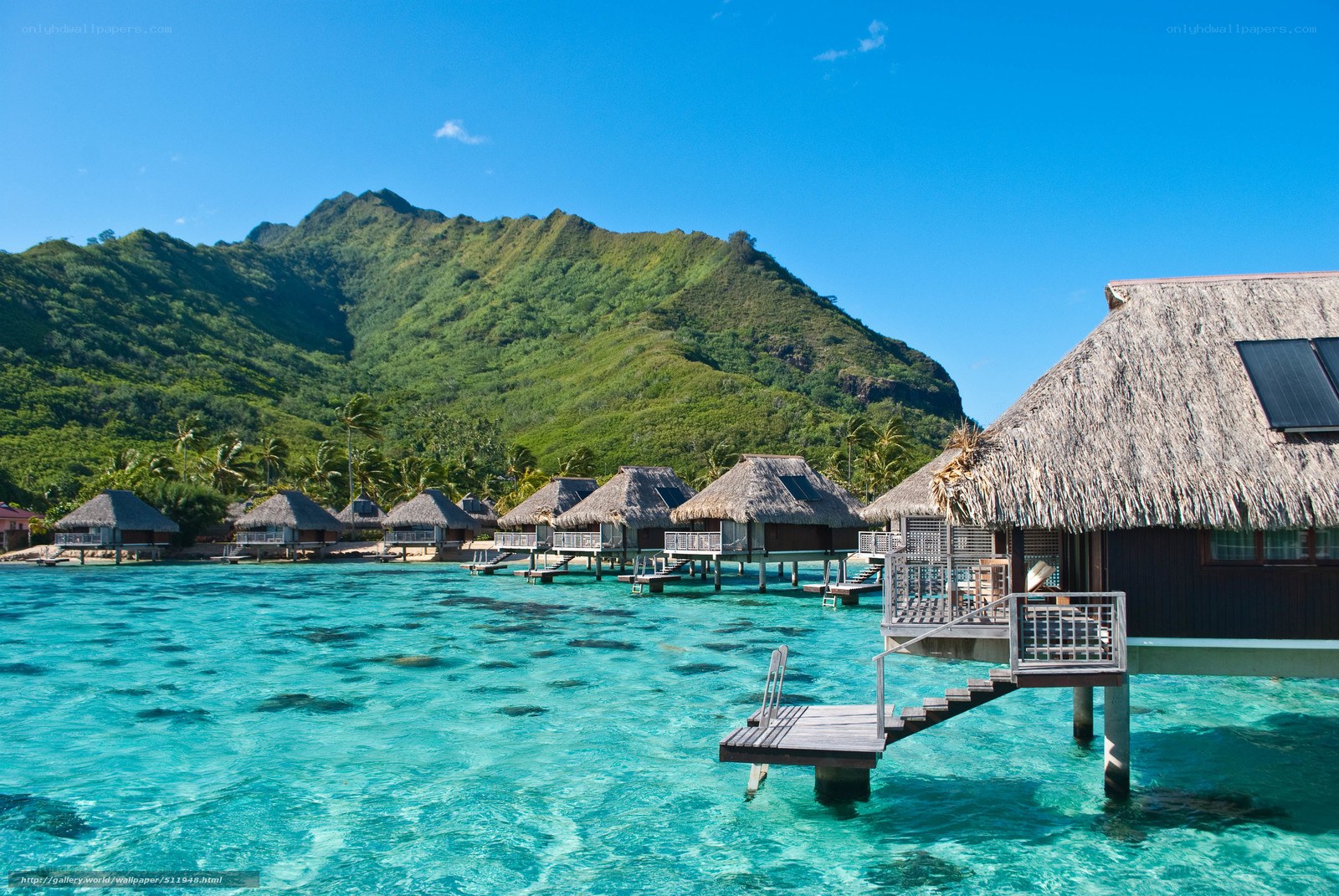 Tropical overwater bungalows