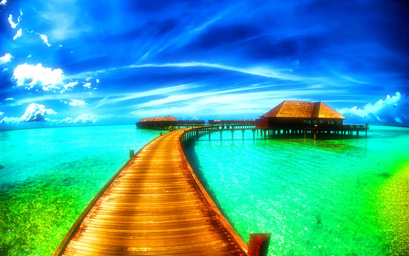 Tropical overwater bungalows
