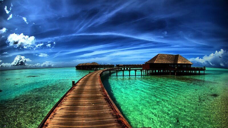 tropical overwater bungalows