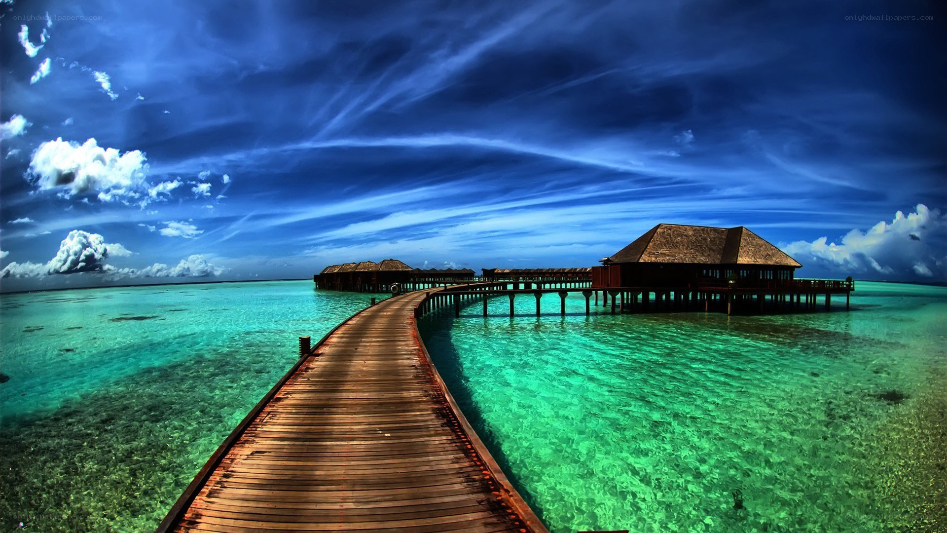 tropical overwater bungalows