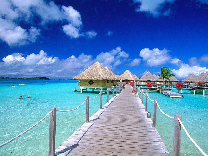 Tropical overwater bungalows