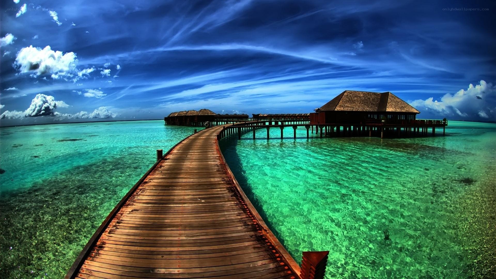 tropical overwater bungalows