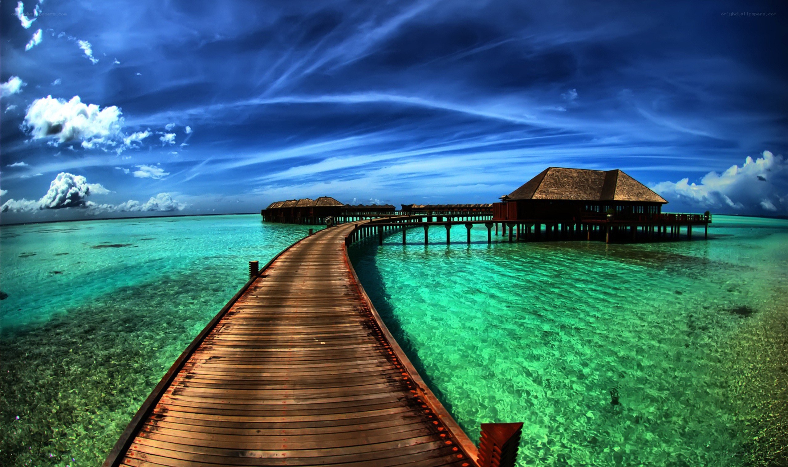 tropical overwater bungalows