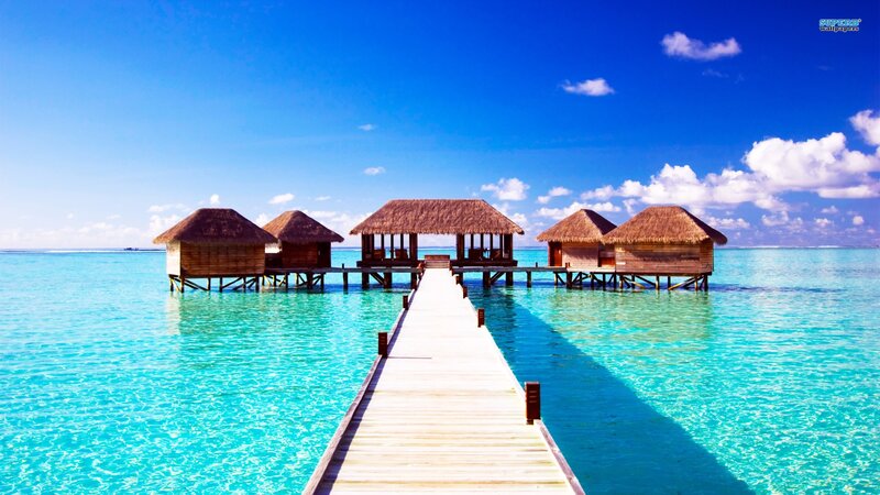 Tropical overwater bungalows