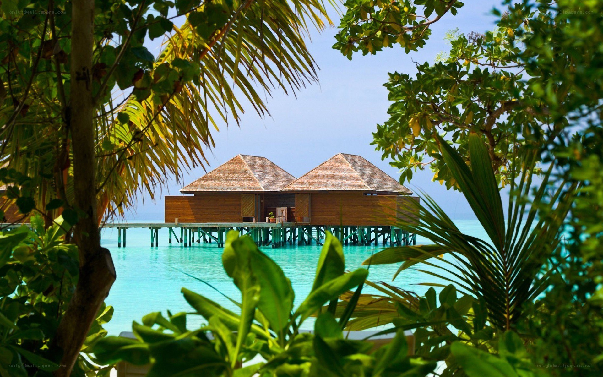 Tropical overwater bungalows