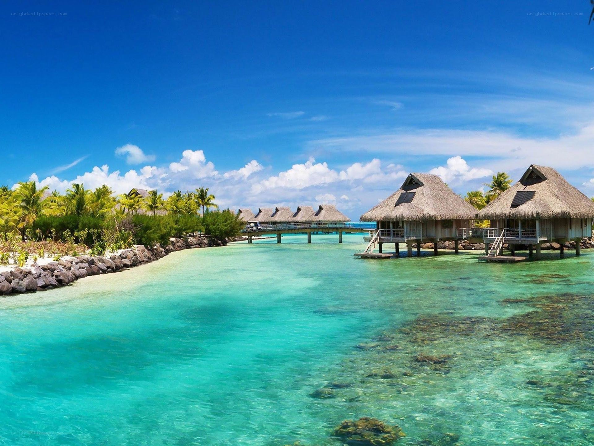 Tropical overwater bungalows