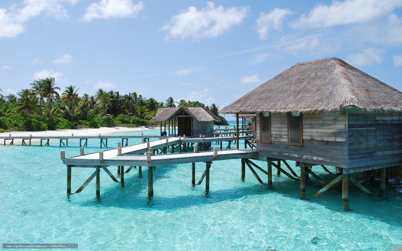 Tropical overwater bungalows