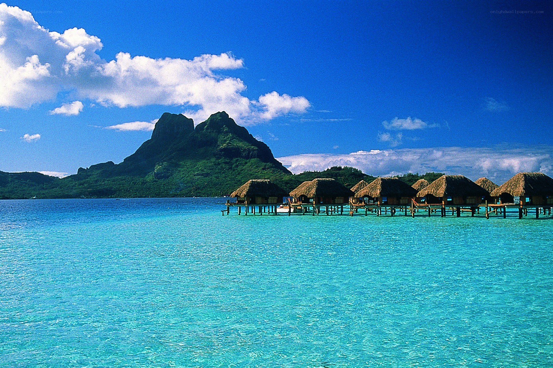 Tropical overwater bungalows