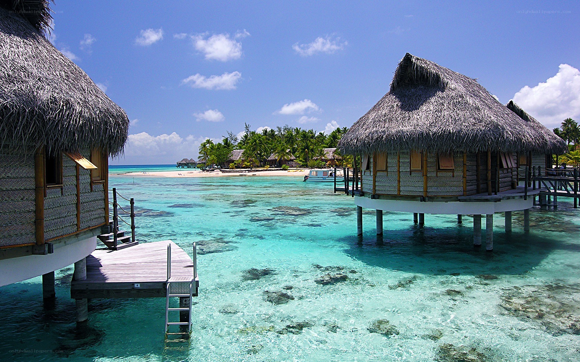 Tropical overwater bungalows