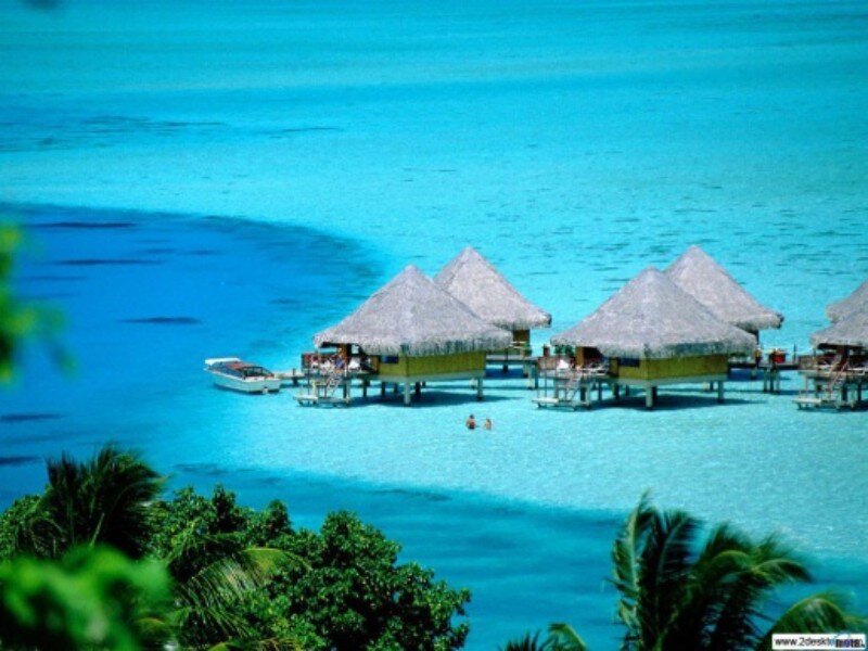 tropical overwater bungalows