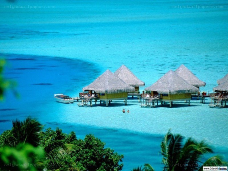 tropical overwater bungalows