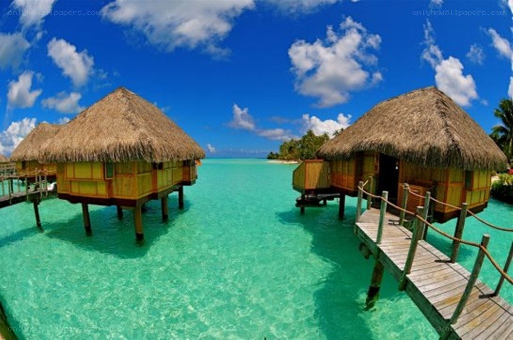 Tropical overwater bungalows