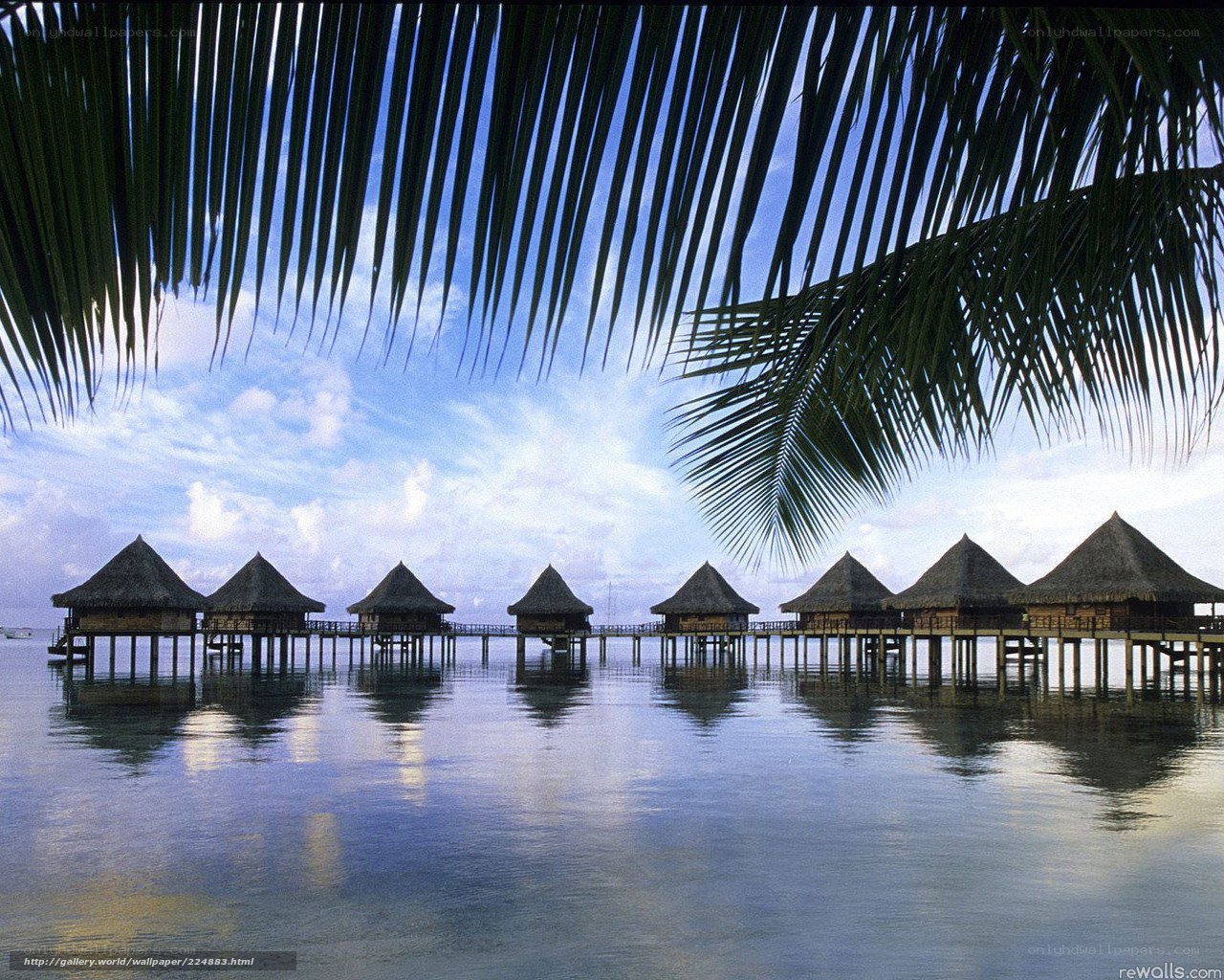 Tropical overwater bungalows