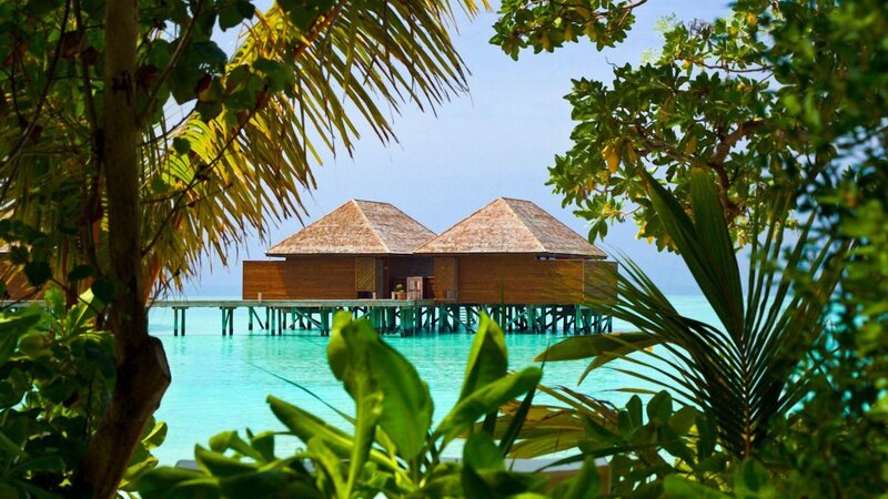 Tropical overwater bungalows