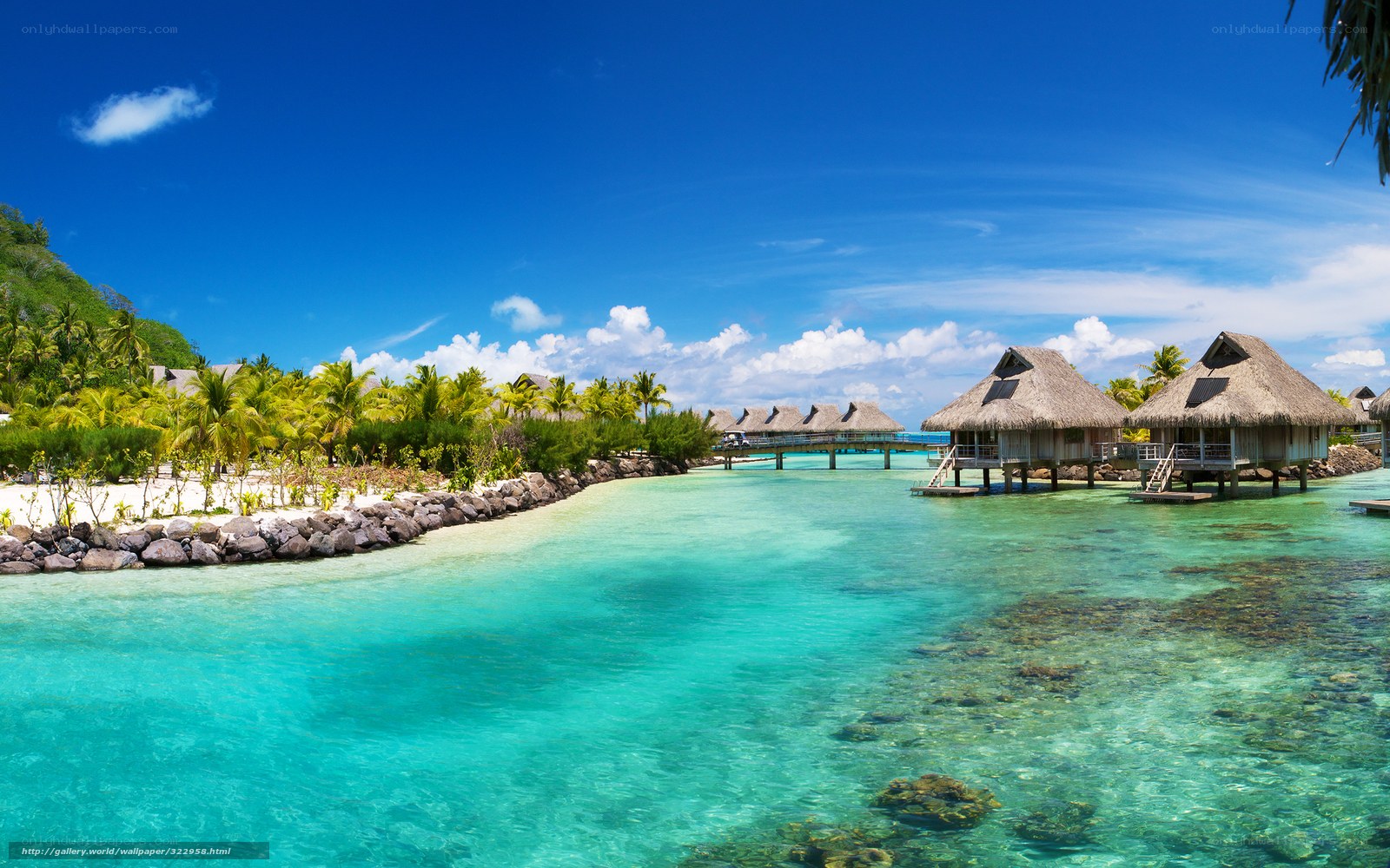Tropical overwater bungalows